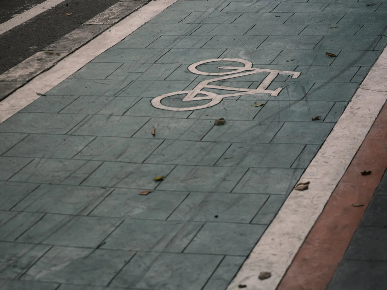 Empty painted bike lane along a city street in daylight, no people visible